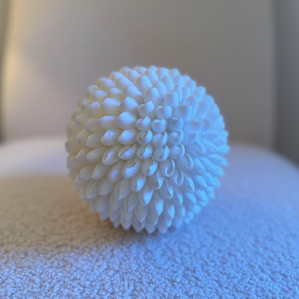 Large Decorative Shell Ball - Picture 4 of 4